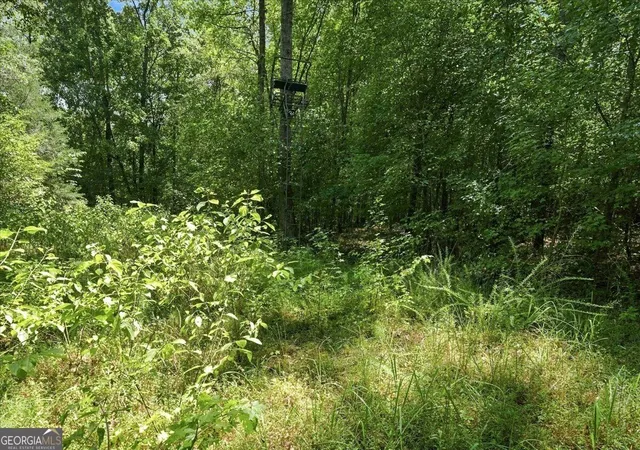Photo 4 of House for sale at 0 Cherokee Rd, Elberton, GA 30635 | MLS# 10836676 | Listing updated on 2026-09-14