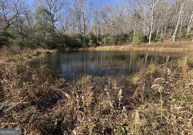 79th image of 1038 Wilkins Cove Rd, Suches, GA 30572 | MLS# 10619156