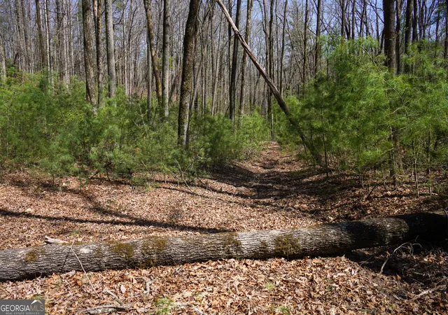 5th image of 0 Hale Ridge Road, Clayton, GA 30525 | MLS# 10724327