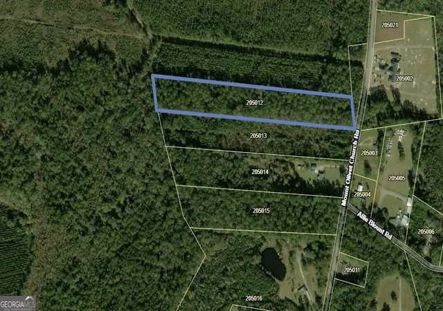 1st image of 775 Ac Mount Olivet Church Rd, Fleming, GA 31309 | MLS# 10801263