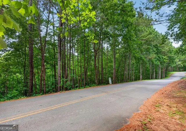 5th image of 0 Ginger Dr, Jasper, GA 30143 | MLS# 10808593