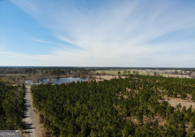 1st image of 275 Marchants Dairy Rd, Rhine, GA 31077 | MLS# 10729807