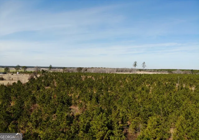 42nd image of 275 Marchants Dairy Rd, Rhine, GA 31077 | MLS# 10729807