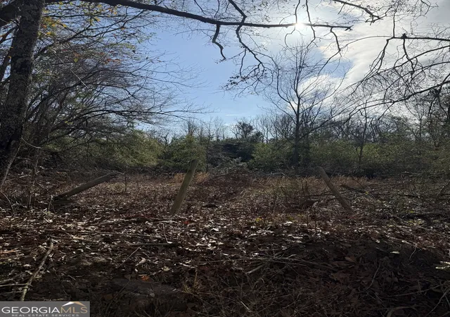 Photo 3 of Land for sale at 0 George Moore Rd, Statesboro, GA 30461 | MLS# 10559523 | Listing updated on 2026-01-12
