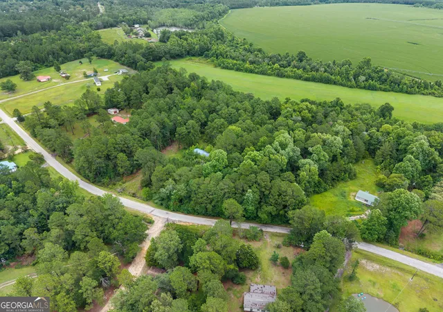 Homes for sale in Sylvania, GA | 243 Buck Rd, Sylvania, GA 30467 | MLS# 10790584