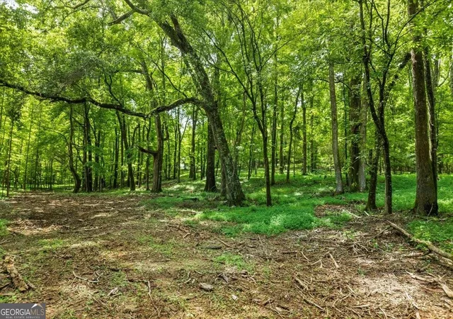 Photo 3 of Land for sale at 0 Creekview Dr, Monroe, GA 30655 | MLS# 10731266 | Listing updated on 2026-04-27