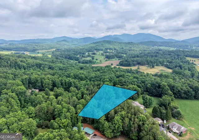 37th image of 115 Ledge Lane, Blairsville, GA 30512 | MLS# 10790564