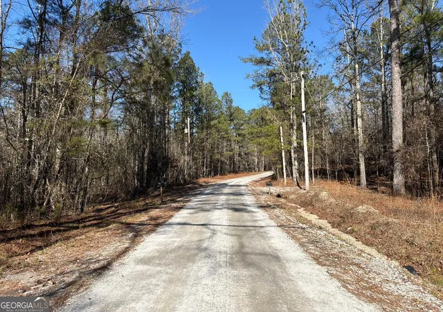 Photo 3 of Land for sale at 0 Haines Rd, Franklin, GA 30217 | MLS# 10679580 | Listing updated on 2026-06-29