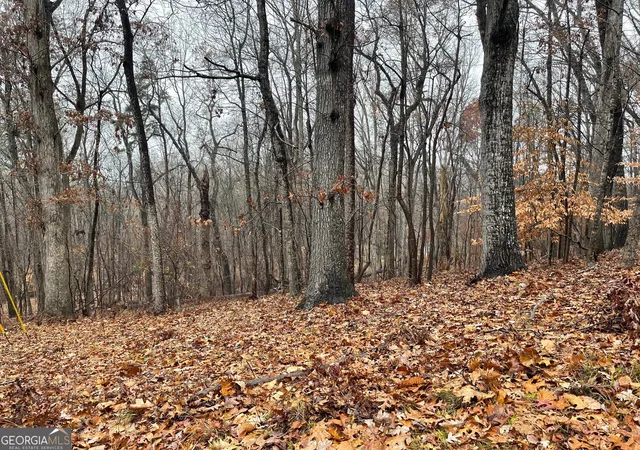 Homes for sale in Westminster, SC | 0 S Arrowhead Dr #LOT 2134, Westminster, SC 29693 | MLS# 10654625
