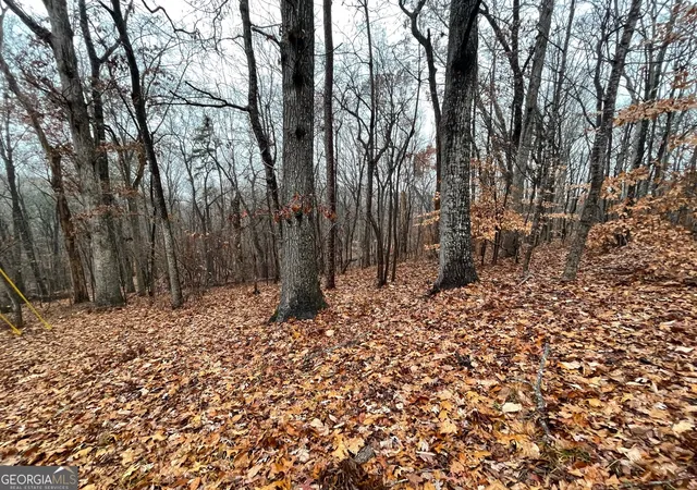 Homes for sale in Westminster, SC | 0 S Arrowhead Dr #LOT 2134, Westminster, SC 29693 | MLS# 10654625