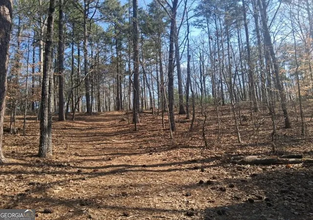 20th image of 0 Hightower Fls Rd, Rockmart, GA 30153 | MLS# 10774180