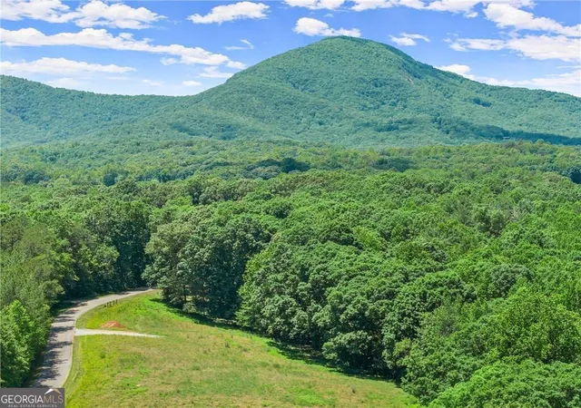 1st image of 0 Arthur Allen Road, Lot 2 Rd, Cleveland, GA 30528 | MLS# 10829179