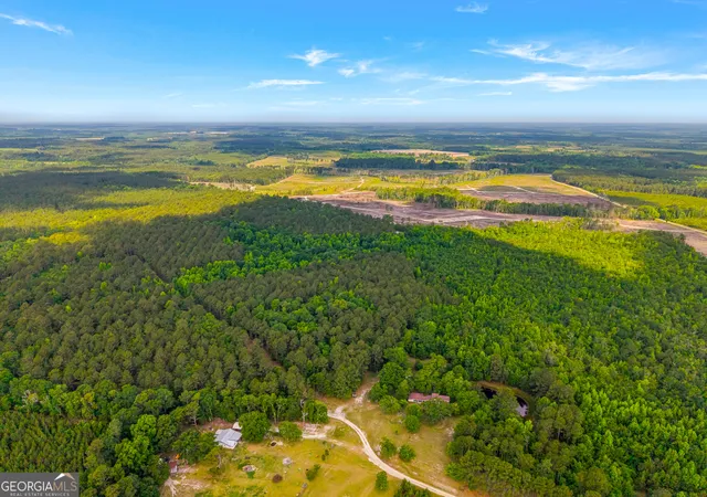 Homes for sale in Sylvania, GA | 3869 Hiltonia-Perkins Rd, Sylvania, GA 30467 | MLS# 10773055