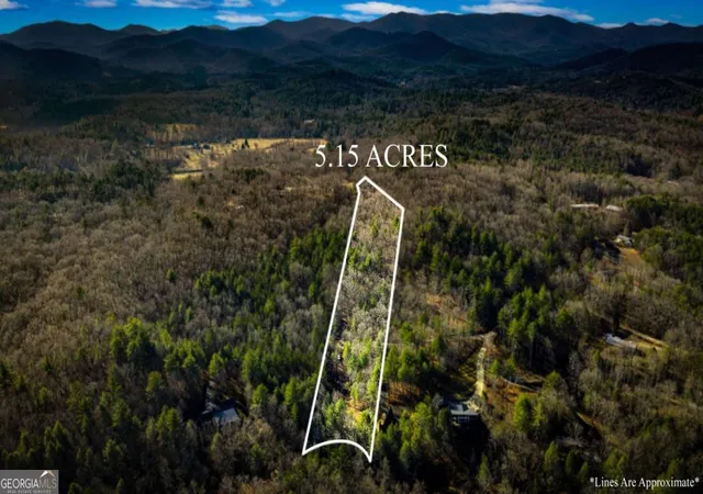 Photo 3 of Land for sale at 515 Ac Spence Rd #11B, Blue Ridge, GA 30513 | MLS# 10810728 | Listing updated on 2026-08-05