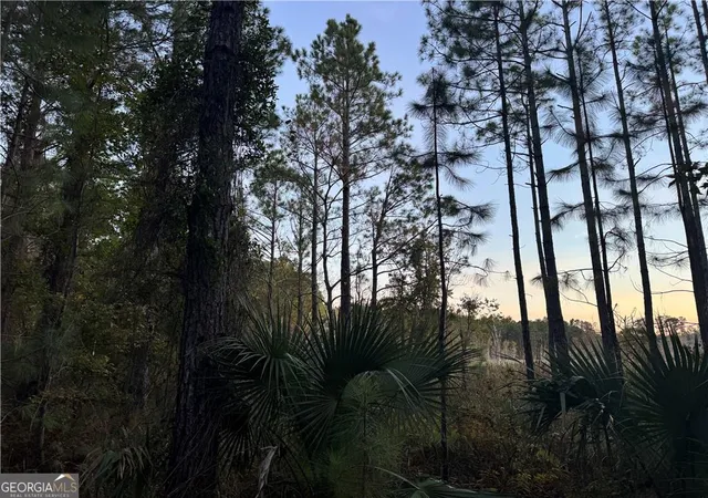 Photo 3 of Land for sale at Lot 357 Wood Stork Way, Waverly, GA 31565 | MLS# 10649338 | Listing updated on 2026-09-24