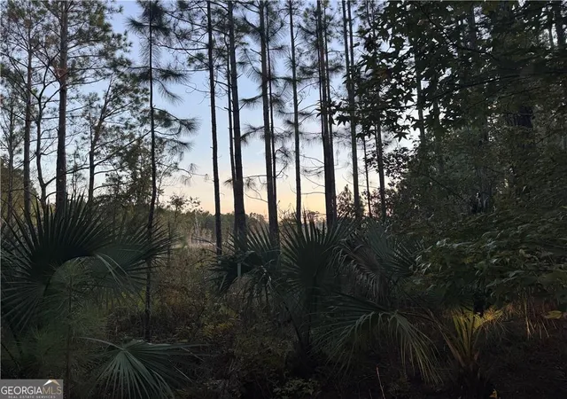 Photo 4 of Land for sale at Lot 357 Wood Stork Way, Waverly, GA 31565 | MLS# 10649338 | Listing updated on 2026-09-24