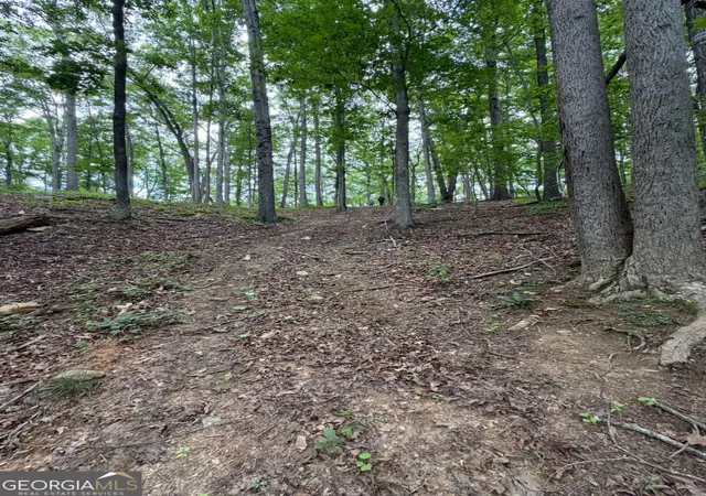13th image of 131 Nicholson Ln, Talking Rock, GA 30175 | MLS# 10821682