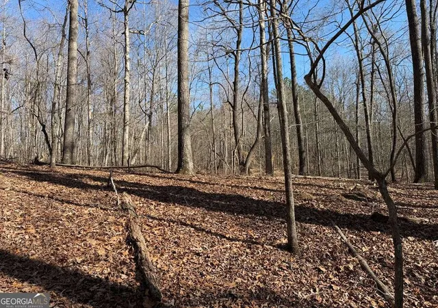 Photo 3 of Land for sale at 131 Nicholson Ln, Talking Rock, GA 30175 | MLS# 10821682 | Listing updated on 2026-09-12