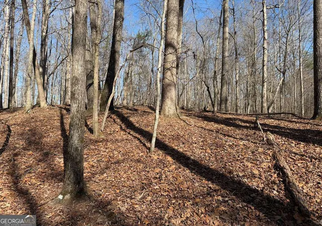 Photo 3 of Land for sale at 131 Nicholson Ln, Talking Rock, GA 30175 | MLS# 10821682 | Listing updated on 2026-09-12