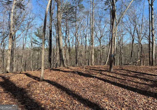 Photo 4 of Land for sale at 131 Nicholson Ln, Talking Rock, GA 30175 | MLS# 10821682 | Listing updated on 2026-09-12
