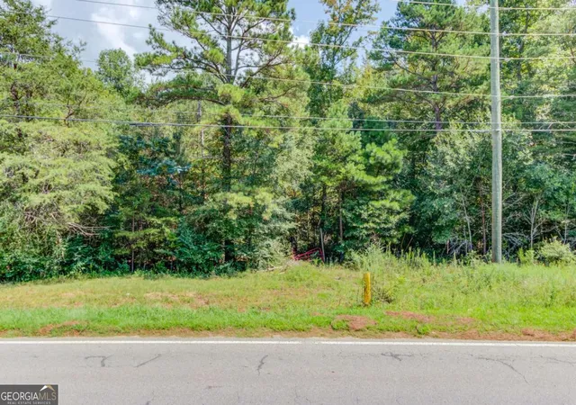 Photo 3 of Land for sale at 7207 Spout Springs Rd, Flowery Branch, GA 30542 | MLS# 10687740 | Listing updated on 2026-02-23