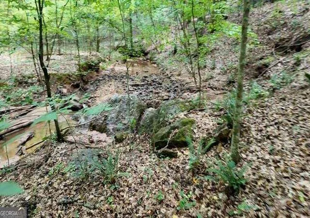 Photo 3 of Land for sale at 6260 White Ml Rd, Fairburn, GA 30213 | MLS# 10817289 | Listing updated on 2026-08-15
