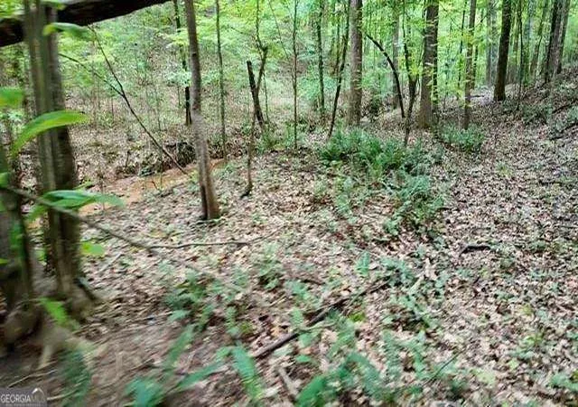 Photo 4 of Land for sale at 6260 White Ml Rd, Fairburn, GA 30213 | MLS# 10817289 | Listing updated on 2026-08-15