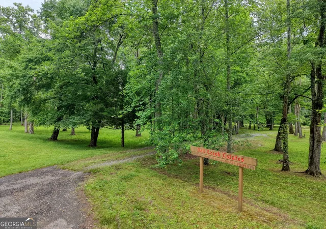 73rd image of 1903 Bell Eagle Dr, Hiawassee, GA 30546 | MLS# 10757725