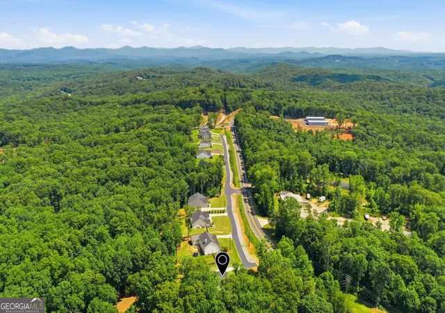 Homes for sale in Dahlonega, GA | 100 Rivermont Ln, Dahlonega, GA 30533 | MLS# 10794186