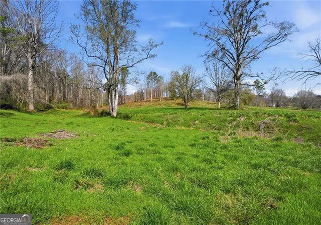 4th image of 2201 Long Rd, Ball Ground, GA 30107 | MLS# 10713555