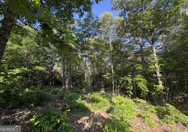 Homes for sale in Monticello, GA | 0 Anna Claire Ct #LOT 11, Monticello, GA 31064 | MLS# 10769678