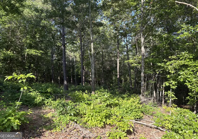 Homes for sale in Monticello, GA | 0 Anna Claire Ct #LOT 11, Monticello, GA 31064 | MLS# 10769678