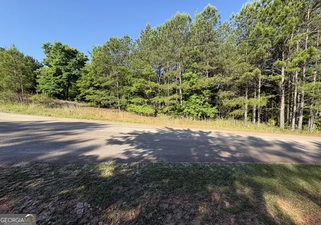 Homes for sale in Monticello, GA | 0 Anna Claire Ct #LOT 11, Monticello, GA 31064 | MLS# 10769678