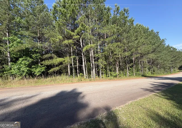 Homes for sale in Monticello, GA | 0 Anna Claire Ct #LOT 11, Monticello, GA 31064 | MLS# 10769678