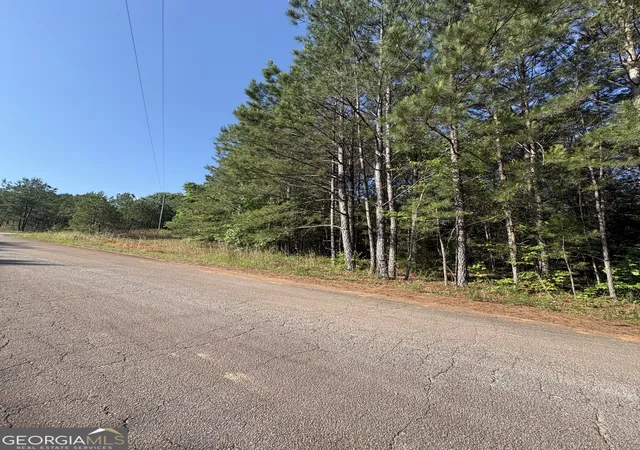 Homes for sale in Monticello, GA | 0 Anna Claire Ct #LOT 11, Monticello, GA 31064 | MLS# 10769678