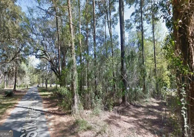 Photo 1 of Land for sale at 0 Silk Hope Rd, Savannah, GA 31405 | MLS# 10871119 | Listing updated on 2026-10-26
