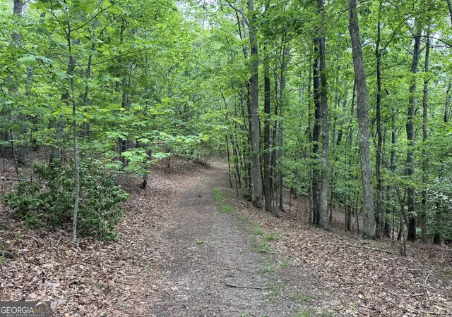 3rd image of 0 Royal Oaks Trail, Young Harris, GA 30582 | MLS# 10534595