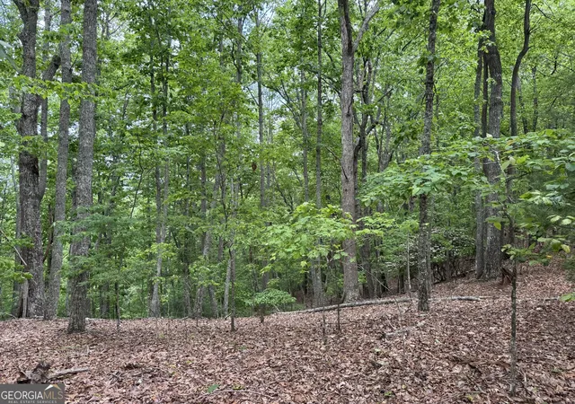 4th image of 0 Royal Oaks Trail, Young Harris, GA 30582 | MLS# 10534595