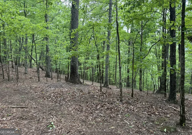 5th image of 0 Royal Oaks Trail, Young Harris, GA 30582 | MLS# 10534595
