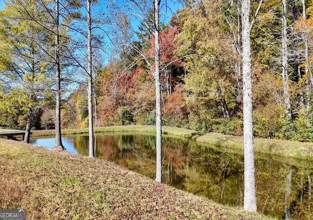 36th image of 16ac Richards Branch Road, Morganton, GA 30560 | MLS# 10402430