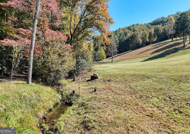 5th image of 16Ac Richards Branch Road, Morganton, GA 30560 | MLS# 10402430