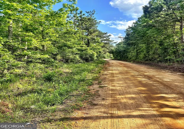 Homes for sale in Musella, GA | O Johnson Road, Musella, GA 31066 | MLS# 10756225