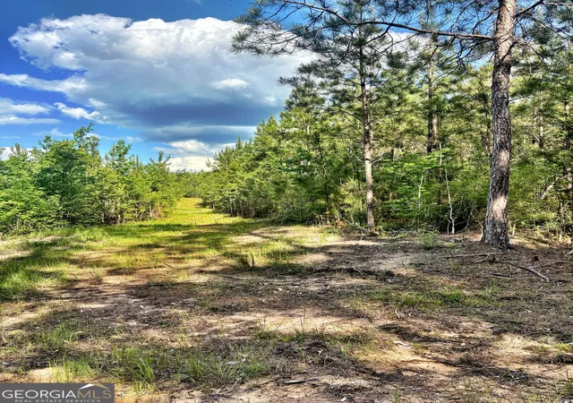 Homes for sale in Musella, GA | O Johnson Road, Musella, GA 31066 | MLS# 10756225