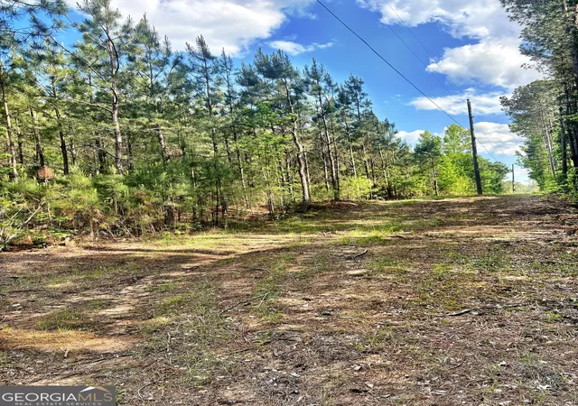 Homes for sale in Musella, GA | O Johnson Road, Musella, GA 31066 | MLS# 10756225