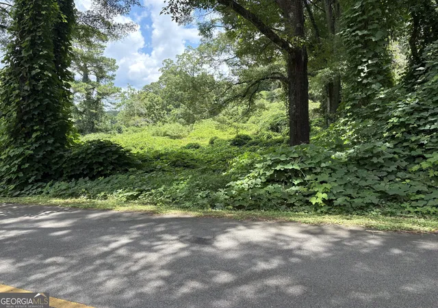 1st image of 0 Pine Street, Hogansville, GA 30230 | MLS# 10805512