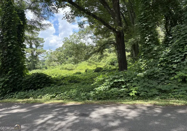 2nd image of 0 Pine Street, Hogansville, GA 30230 | MLS# 10805512