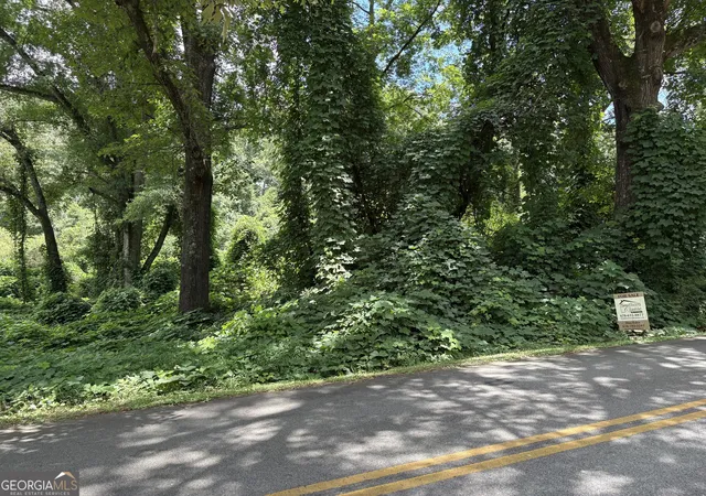 3rd image of 0 Pine Street, Hogansville, GA 30230 | MLS# 10805512