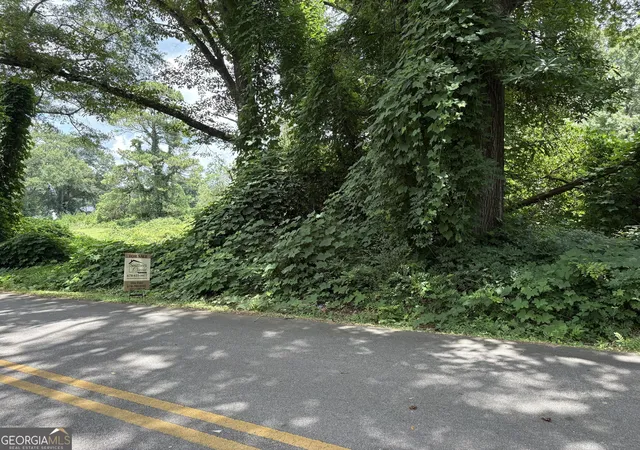 4th image of 0 Pine Street, Hogansville, GA 30230 | MLS# 10805512