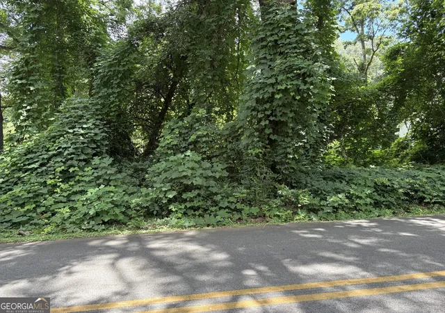 5th image of 0 Pine Street, Hogansville, GA 30230 | MLS# 10805512