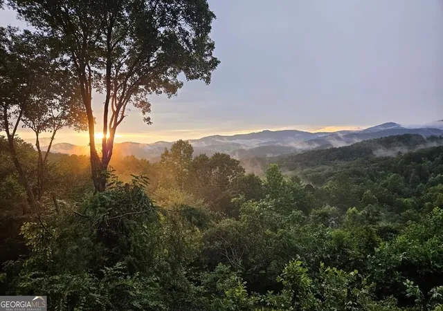 3rd image of 115 Mountain High Dr, Mineral Bluff, GA 30559 | MLS# 10786172